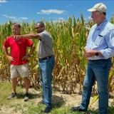 Congressman Davis in a corn field