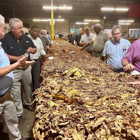 Congressman Davis visits the opening day of 136th Wilson Tobacco Market